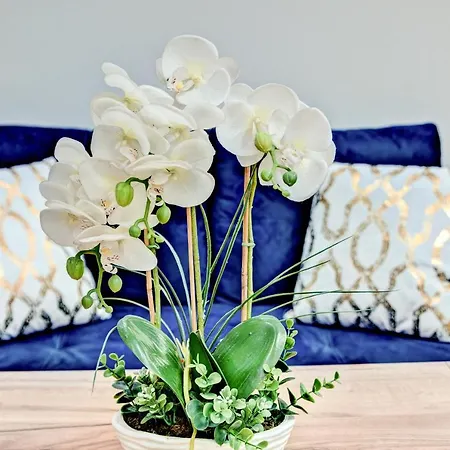 Pod Grapa Appartement Poronin