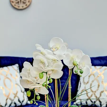 Appartement Pod Grapa *